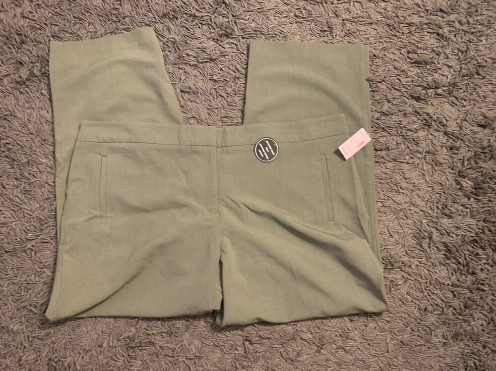 Dress Barn Green Pants 24W Tummy Control Average Length